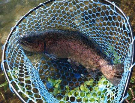 三桁釣果に大物もキャッチ！